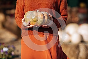 Female hands holding orange pumpkin on background of farmers market in brown sweater. Cozy autumn vibes Halloween party