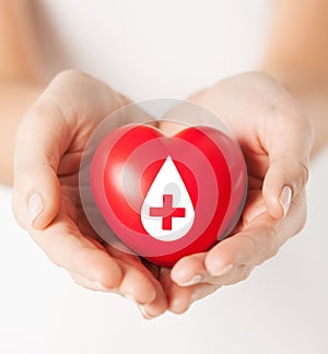 Female hands holding red heart with donor sign