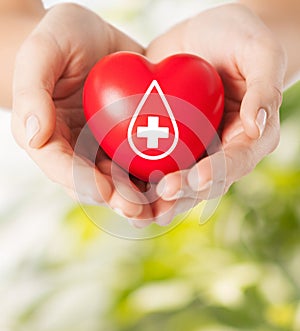 Female hands holding red heart with donor sign