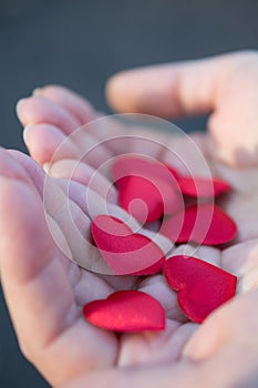 Female hands holding red hearts