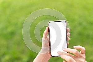 Female hands holding smart phone against blurred green background