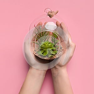 Female hands holding succulent plants in glass terrarium