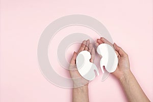 Female hands holding white human kidney symbol on pink background. World Kidney Day