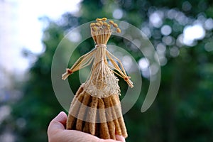 female hands holds ritual doll made of straw, grass in honor rich harvest, scarecrow for fertility, old toy, amulet for women,