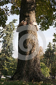 Female hands hugging a tree