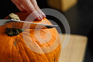 Female hands with knife chopping pumpkin on cutting board. Preparing autumn vegetables.