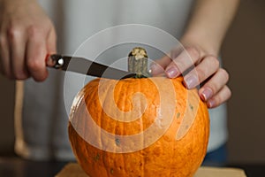 Female hands with knife chopping pumpkin on cutting board. Preparing autumn vegetables. Healthy organic vegetarian food