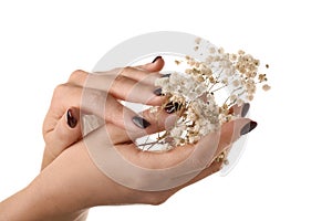 Female hands with manicure holding flowers on white background