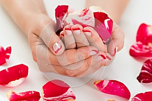 Female Hands With Nail Varnish Holding Rose Petals