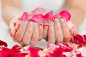 Female Hands With Nail Varnish Holding Rose Petals