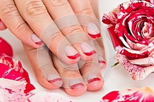 Female Hands With Nail Varnish Near The Rose