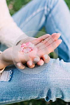 Female hands with neutral manicure holding an apple tree pink flower. Outdoors, spring.