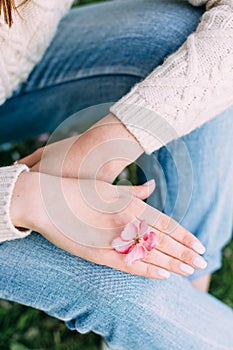 Female hands with neutral manicure holding an apple tree pink flower. Outdoors, spring.