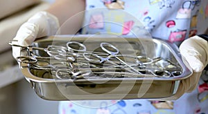 Female hands of a nurse in gloves holding a tray with surgical styrene instruments and instruments, including scalpels, forceps