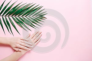 Female hands with palm leaf on pink background. Tender women manicure. Beauty, welness and organic natural cosmetic. Top