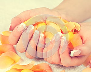 Female hands with perfect french manicure