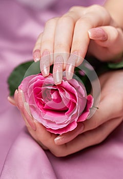 Female hands with pink nail design hold pink roses