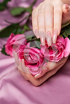 Female hands with pink nail design hold pink roses