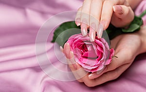 Female hands with pink nail design hold pink roses