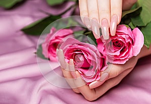 Female hands with pink nail design hold pink roses