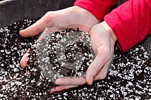 Female hands with potting soil getting ready to garden