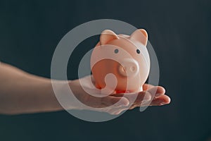 Female hands protect pink piggy bank, copy space. Concept of saving money or savings