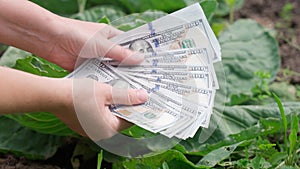 Female hands showcase one hundred dollar bills