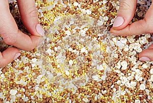 Female hands sorted mixture of cereals
