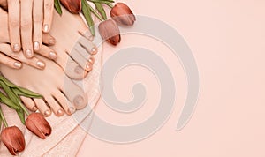 Female hands with spring nail design. Glitter beige nail polish pedicure. Female hands and feet with tulip flowers on pink