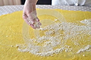 Female hands sprinkle flour on the dough