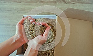 Female hands take grass seeds from a cardboard shipping box. Preparing for sowing a lawn