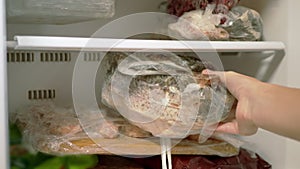 Female Hands Take Out Frozen Fish from the Freezer. 4K. Close up. Slow motion