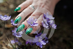 Female hands touch the first spring blue flowers