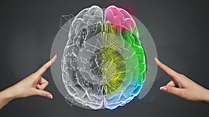 Female hands touching Analytical and Creative part of brain