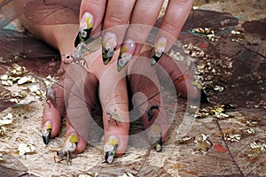 Female hands with toy insects