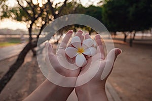 Female hands with tropical plumeria flower in Asia