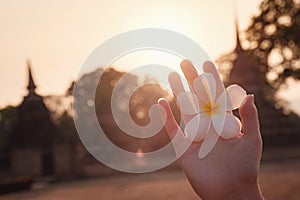 Female hands with tropical plumeria flower in Asia