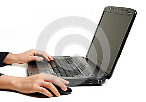 Female hands using laptop