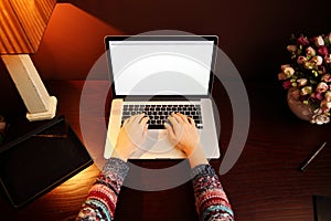 Female hands using laptop