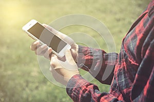 Female hands using smart phone