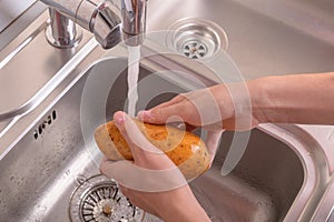 Female hands washing potato with hand under running water in sink in the kitchen