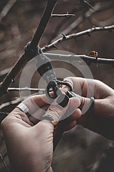 Female hands weaving a macrame braid on a tree