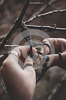 Female hands weaving a macrame braid on a tree