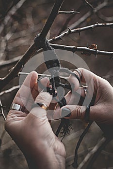 Female hands weaving a macrame braid on a tree