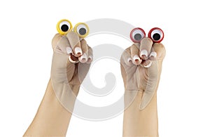 Female hands on white background