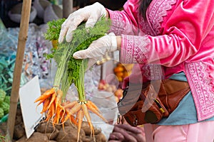 Female hands with white gloves holding bunch of carrots in farmers market.