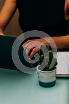 Female hands working in the computer with a red pen, a notebook and a cactus.Selective focus