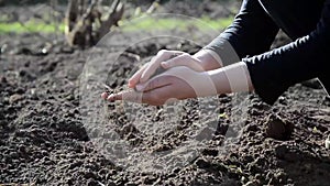 Female hands working in the land