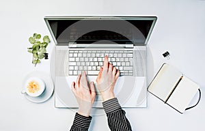 Female hands working on modern laptop.