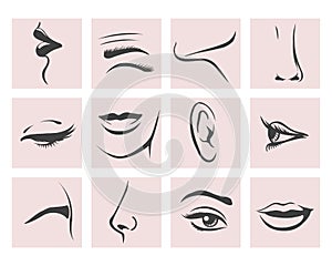 Female Head Parts set in contour style. Vector illustration